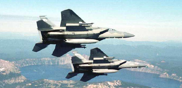 f15 eagle. The F-15 Eagle is an